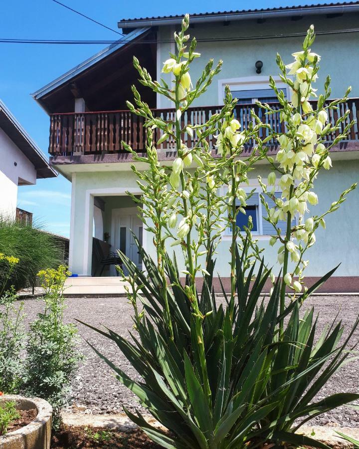 Apartman Lena Tusilovic Exterior foto