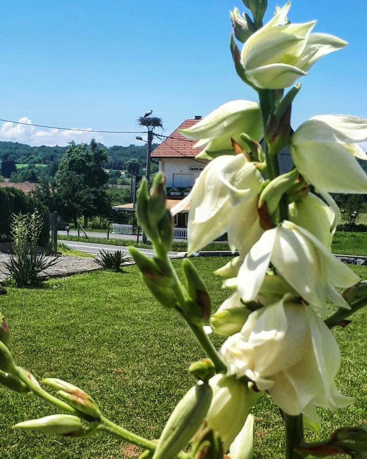 Apartman Lena Tusilovic Exterior foto